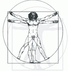 Изображение фигуры человека в двух плоскостях: круге и квадрате. Леонардно да Винчи